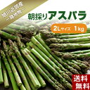 (送料無料)2Lサイズ グリーンアスパラ 1kg前後 美味しい旬の北海道産（美瑛産 名寄産）あすぱらを産地直送。アスパラガスが食べられるのは春だけ。アスパラベーコンなど料理多彩。グリーンアスパラガス ギフト用