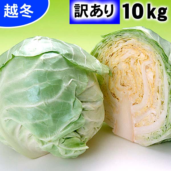 北海道冬野菜　訳あり　和寒町産越冬雪の下キャベツ 合計10kg(4〜7玉入り) 割れているわけあり品のキャベツなので、お安くなっています。北海道産の真冬に食べる雪の下キャベツ。イチゴより甘い雪下きゃべつ、糖度10度の葉物野菜。北海道グルメ食品 野菜・きのこ キャベツ