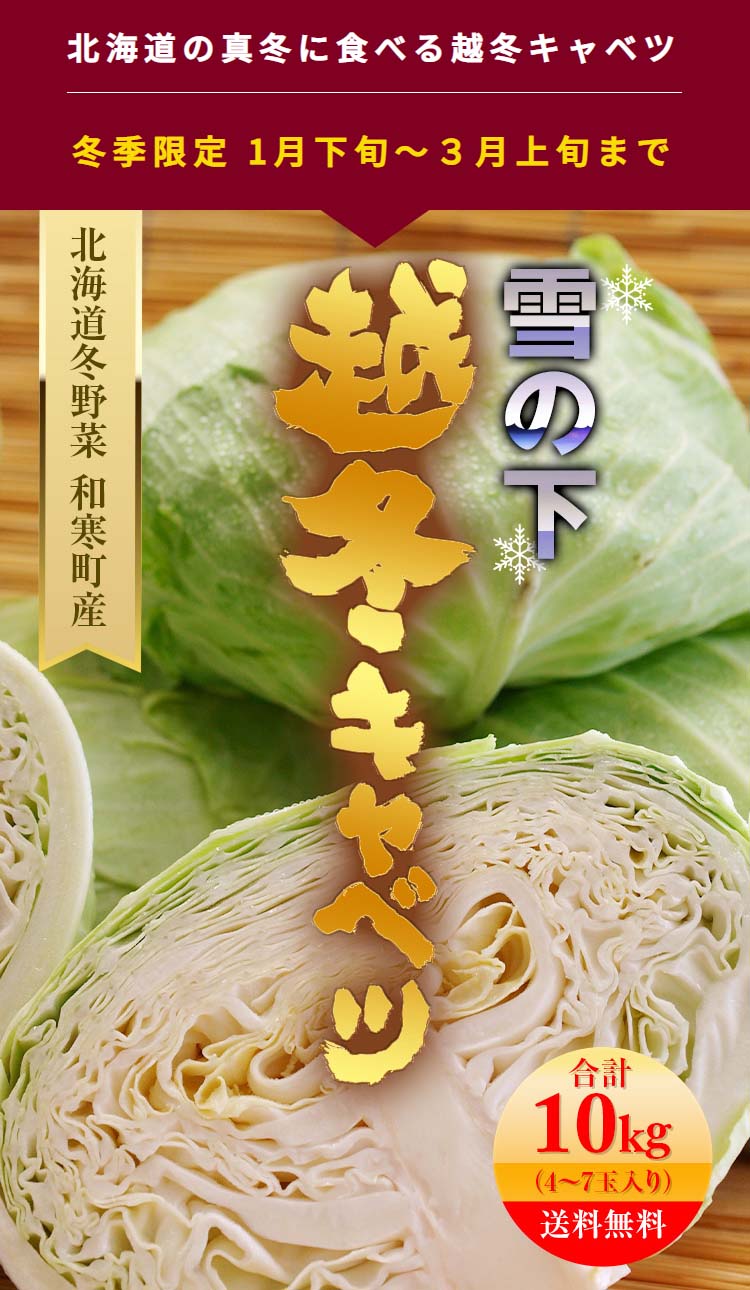 ͽ����(����̵��) �̳�ƻ ����� �´��� ���ߥ���٥� ���10kg(4��7������) �̳�ƻ���ο��ߤ˿��٤� ����٥� ���������Ť� �㲼����٥� ����10�٤���ʪ��� ���ڤꡢ�����륭��٥� ����� �����פˤ����Ѥ������� ��ڡ����Τ� ����٥�