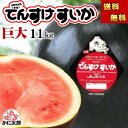 (送料無料) 巨大 でんすけすいか 秀品 6L 11kg以上 黒い皮の中には赤の果肉、伝助 田助西瓜 ギフトに喜ばれる北海道 デンスケスイカ すいか 旬のフルーツ グルメ食品 フルーツ・果物 スイカ 黒皮スイカ でんすけスイカ お中元 御中元 ギフト(4)