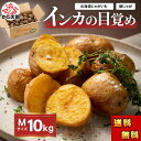 (送料無料) Mサイズ 北海道 じゃがいも インカの目覚め 10kg(新ジャガ インカのめざめ 芋)栗のような甘さ、希少種のジャガイモ 北海道 グルメ食品 野菜...