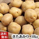 (送料無料) じゃがいも 北あかり　10kg(越冬じゃが・芋・栗ジャガ・キタアカリ)　北海道産のジャガイモ、きたあかりです。肉じゃが、じゃがバター、コロッケの調理に。北海道グルメ食品 野菜・きのこ ジャガイモ キタアカリ