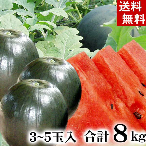 (送料無料) 北海道産　小玉黒すいか　3～5玉入りで 合計8kg前後　糖度12度の甘いスイカです。したたり落ちる果汁、冷…