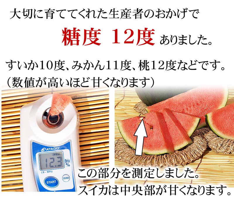 (送料無料) 北海道産　小玉黒すいか　3～5玉入りで 合計8kg前後　糖度12度の甘いスイカです。したたり落ちる果汁、冷蔵庫にも入れやすい小さい黒西瓜。旬のフルーツグルメ食品 フルーツ・果物 スイカ 小玉スイカ(ギフト お中元)