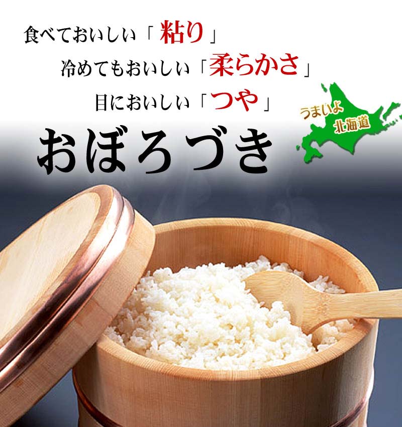 (送料無料)令和元年度 新米 北海道産米　おぼろづき 10kg 白米、精米　もっちりした食感のお米。柔らかい食感と強い粘りが特徴のおぼろつきは、新潟産コシヒカリに匹敵する評価を受けています。北海道グルメ食品 米・雑穀 米 おぼろ月(ギフト)