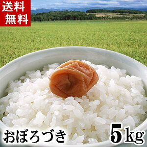 (送料無料)令和5年度 新米 北海道産米　おぼろづき 5kg 白米、精米　もっちりした食感のお米。柔らかい食感と強い粘りが特徴のおぼろ月は、新潟産コシヒカリに匹敵する評価を受けています。北海道グルメ食品 米・雑穀 米 おぼろつき(ギフト)