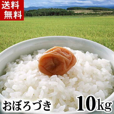 (送料無料)30年度 新米 北海道産米　おぼろづき 10kg 白米、精米　もっちりした食感のお米。柔らかい食感と強い粘りが特徴のおぼろつきは、新潟産コシヒカリに匹敵する評価を受けています。北海道グルメ食品 米・雑穀 米 おぼろ月(ギフト)