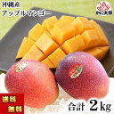 (送料無料) 沖縄産 アップル マンゴー 合計2kg(4〜8玉入り) 南国沖縄のとれたてまんごー ミキサーで簡単に作れる マンゴージュース ヨーグルトマンゴーも...