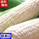 全国お取り寄せグルメ北海道食品全体No.204