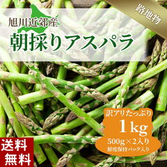 https://thumbnail.image.rakuten.co.jp/@0_mall/kanitaro/cabinet/nosan01/wkasu1k221215-10s.jpg