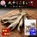 (送料無料) 丸干し かんかい こまい 1kg(大盛り) 北海道 珍味 カンカイ 氷下魚を乾燥させた おつまみ 干物でいつでも美味しいコマイが食べられます 乾物...
