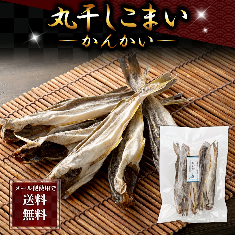 ポイント消化 珍味 乾物 食品(メール便なら送料無料) 丸干し かんかい　こまい　180g　北海道の珍味、カンカイ。氷下魚を乾燥させたおつまみです。干物でいつでも美味しいコマイが食べられます。北海道乾物グルメ