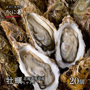 送料無料 お買い得 食べ応えあり20個 ギフト 生食可バーベキューやフライにも 牡蠣 殻付き 生牡蠣 カキ 北海道 厚岸 Lサイズ(約20個)未冷凍 冷蔵 マルえもん ギフト 内祝い お返しお歳暮
