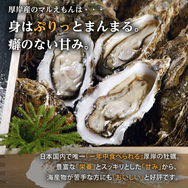 ギフト 牡蠣 殻付き 生牡蠣 カキ 北海道 厚岸 3Lサイズ(約10個) 冷蔵 マルえもん ギフト 内祝い お返し