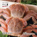活毛ガニ 限定 お歳暮 ギフトセット 訳あり 活毛ガニ 2尾 (500g前後×2) 北海道産 冷蔵 ボイル対応 未冷凍 カニ 毛蟹 毛がに 活かに 活蟹 刺身 ...