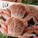 送料無料 訳あり 毛ガニ セット 活毛ガニ 2尾 (600g前後×2) 北海道産 未冷凍 冷蔵 ボイル対応 毛蟹 毛がに 活かに 活蟹 刺身 ギフト 内祝い お...