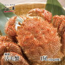 送料無料 北海道産 厳選 活毛ガニ 1尾 (450g前後) 冷蔵 ボイル対応 ギフト 毛ガニ 毛蟹 毛がに 活かに 活蟹 刺身 未冷凍 内祝い お返し 母の日 ...