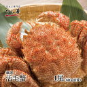 送料無料 北海道産 厳選 活毛ガニ 1尾 (600g前後) 冷蔵 ボイル対応 ギフト 毛ガニ 毛蟹 毛がに 活かに 活蟹 刺身 未冷凍 内祝い お返し 母の日 ...