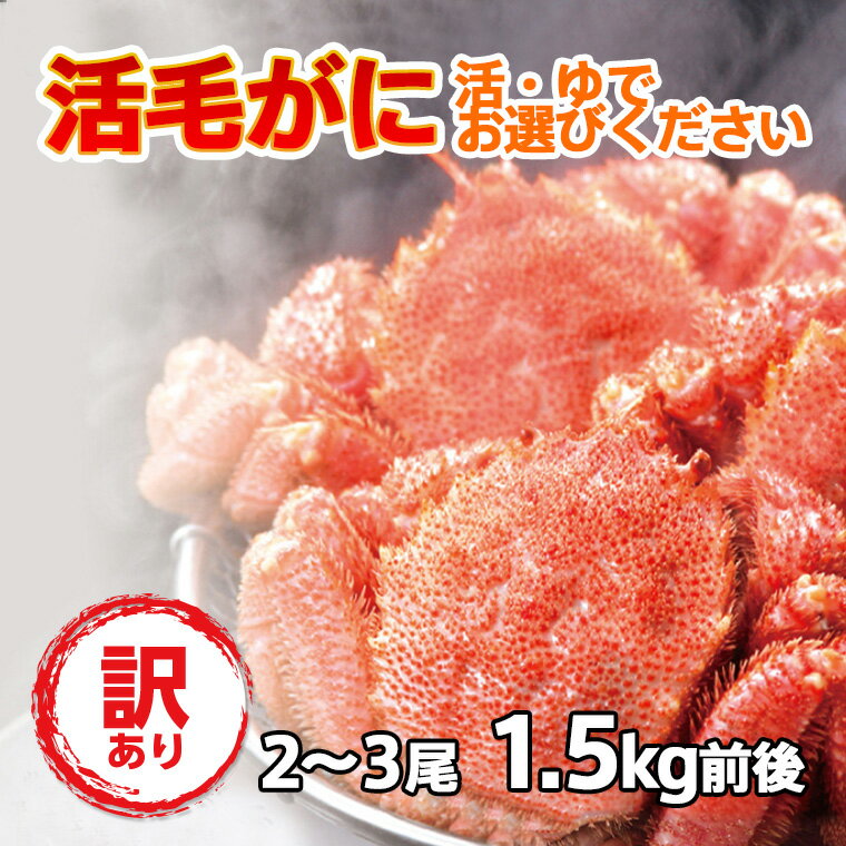 毛ガニ セット 活毛ガニ 訳あり 2〜3尾 (1.5kg前後) 北海道産 冷蔵 ボイル対応 毛蟹 毛がに 活かに 活蟹 刺身も 未冷凍 母の日 父の日 沖縄のみ...