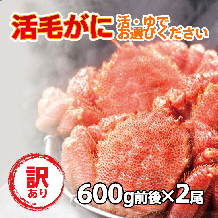 送料無料 訳あり 毛ガニ セット 活毛ガニ 2尾 (600g前後×2) 北海道産 未冷凍 冷蔵 ボイル対応 毛蟹 毛がに 活かに 活蟹 刺身 ギフト 内祝い お...