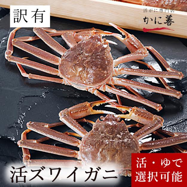 送料無料 北海道産 活 大ズワイガニ 訳あり 300g前後×4尾 活ずわいかに 刺身 鍋 生食できます 未冷凍 沖縄のみ送料550円増 年末年始指定不可