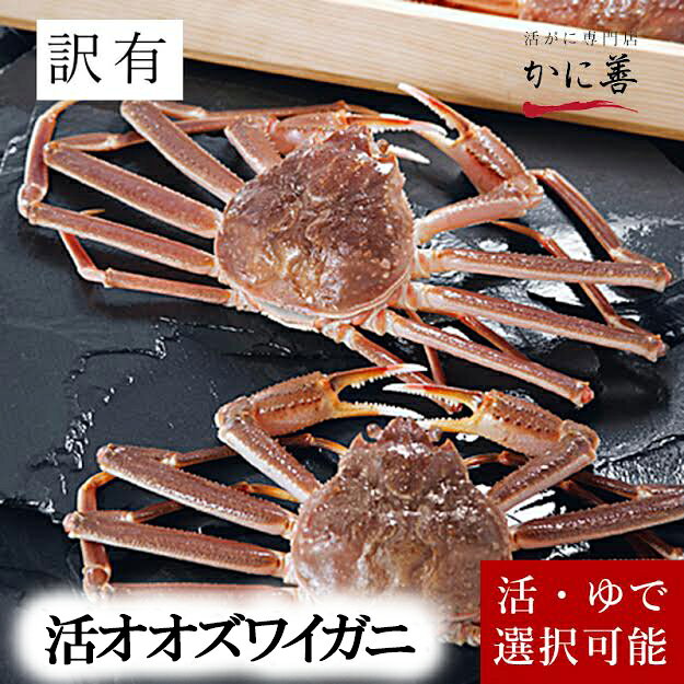 訳あり 活 オオズワイガニ