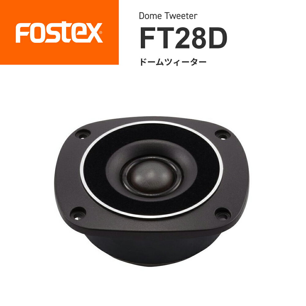 FOSTEX FT28D ɡĥ1˥եƥ Ź