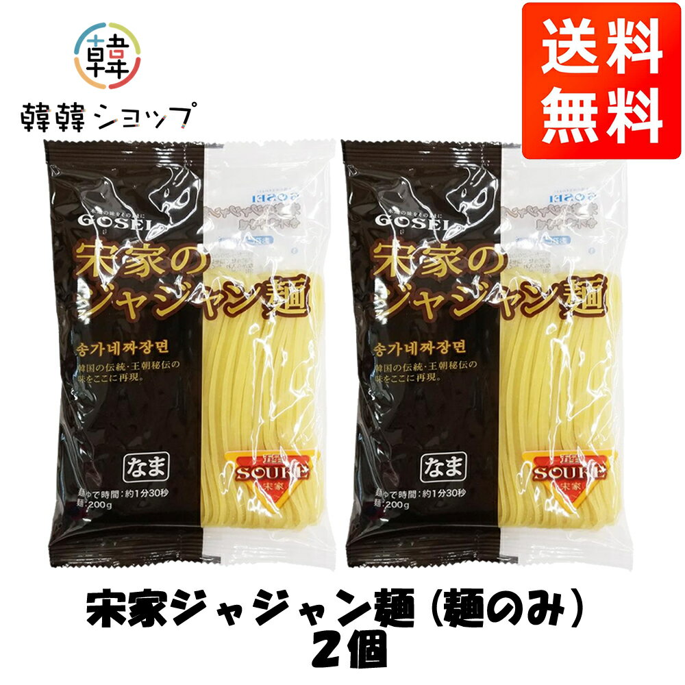 ★メール便送料無料★★宋家ジャジャン麺2個 (麺のみ)★/ソンガ チャジャン麺 麺料理 韓国料理 韓国食材 韓国食品