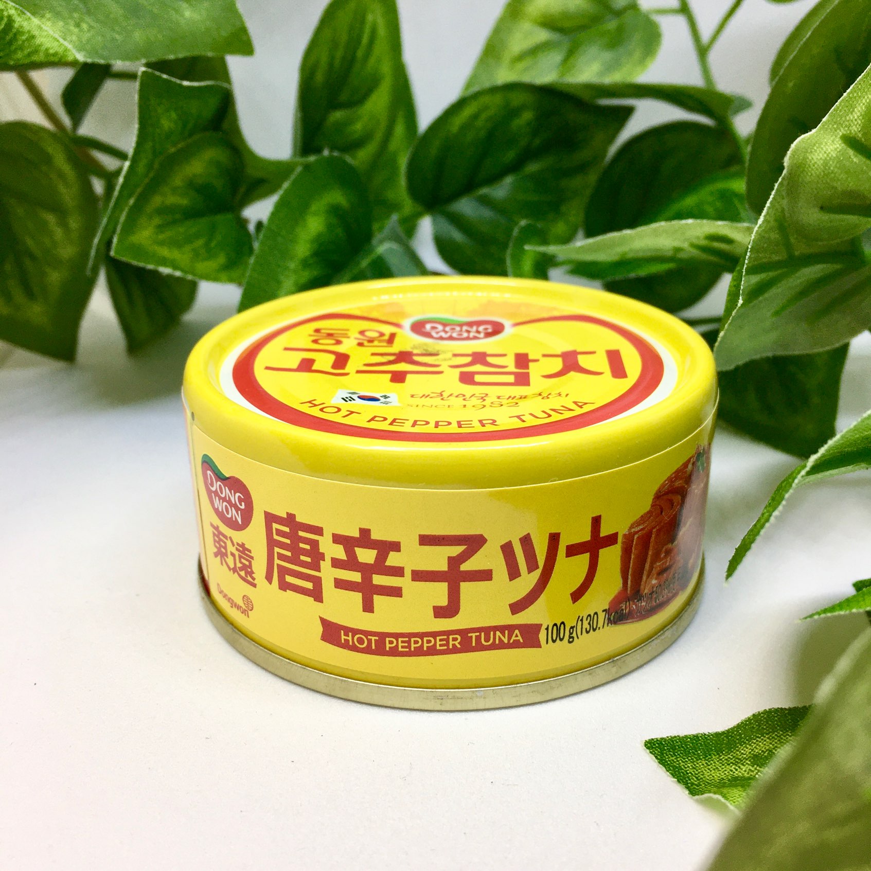 東遠 唐辛子ツナ缶 缶詰 75g ツナ 具