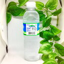 JEJU 三多水 済州　500ml 韓国 ミネラルウォーター 飲み物 サムダス