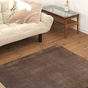 colorsroom 布団と寝具専門店カラーズ 低反発ラグマット ブラウン 100×140cm A715-TH100MAT-BR