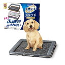 【1歳以上のいたずらのないワンちゃん対象】デオシート消臭ラボ本体セット 約2週間分フィルター・マット付犬用トイレ本体 ワイド