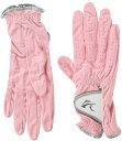キャスコ(Kasco)ゴルフグローブ レディース 合成皮革 DNA SUEDE LADIES SF-2010LW 両手用