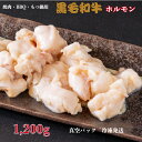【黒毛和牛】国産牛ホルモン【1200g】個包装150×8パック 父の日 お中元 焼肉ホルモン焼き BBQ バーベキュー もつ鍋 ホルモン鍋 国産 和牛 ギフト ...