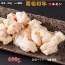 【600g】【黒毛和牛】絶品プリプリホルモンのタレ焼き 冷凍 【国産 和牛 小腸のみ使用】特製秘伝のタレ個包装 150g×4P 焼肉 バーベキュー 国産 和牛 ...