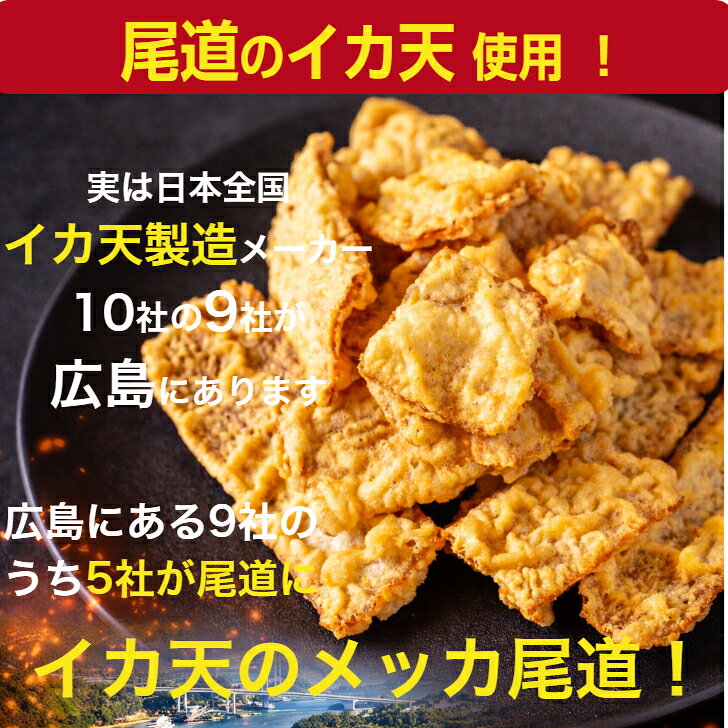 【イカ天入り】冷凍 広島お好み焼き 肉玉そば 450g メガジャンボ 大容量【選べる2枚 3枚 5枚 10枚】お好み焼き オタフクソース付き 広島焼き 冷凍食品 お取り寄せグルメ ギフト かん吉 kankichishop-10000060 広島お好み焼き・鉄板焼 かん吉 サンプル画像3