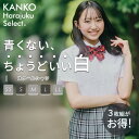 カンコー スクールシャツ 女子 半袖 夏 白 制服 シャツ スクール シャツ カッター ワイシャツ ブラウス 形態安定 綿 レギュラーカラー 角襟 通学 学生 ...