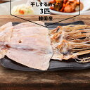 干しするめ イカ 3匹 韓国産 おつまみ するめ 干し物 干し食材 韓国食品 韓国食材 韓国市場
