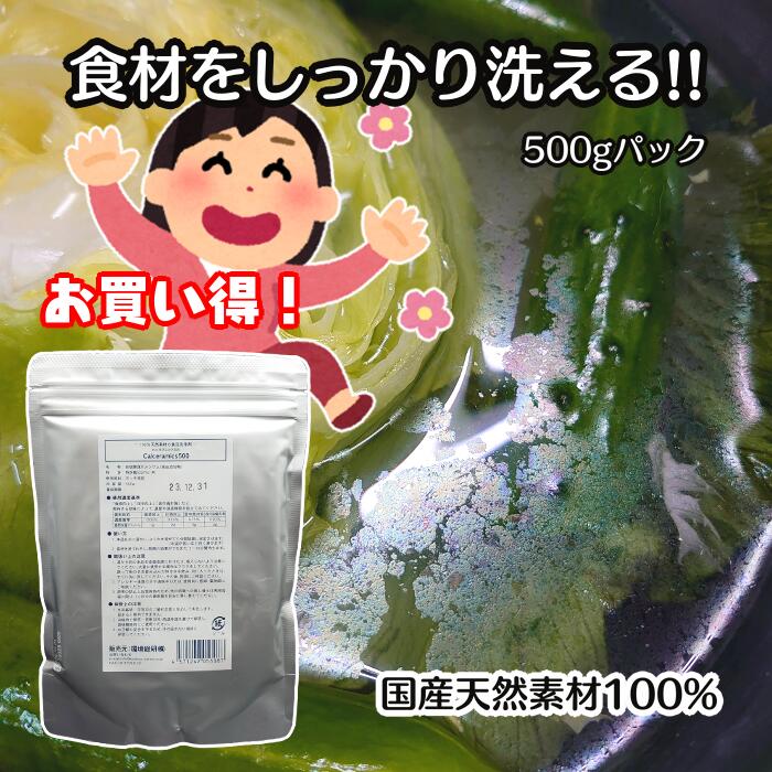 お得な詰め替え用【カルセラミクス500g入り袋】天然 食品洗浄剤 食品衛生 キッチン用品 果物 野菜 除菌 殺菌 農薬除去 コロナ対策 インフルエンザ対策 ウイルス対策 食中毒対策 【送料無料】