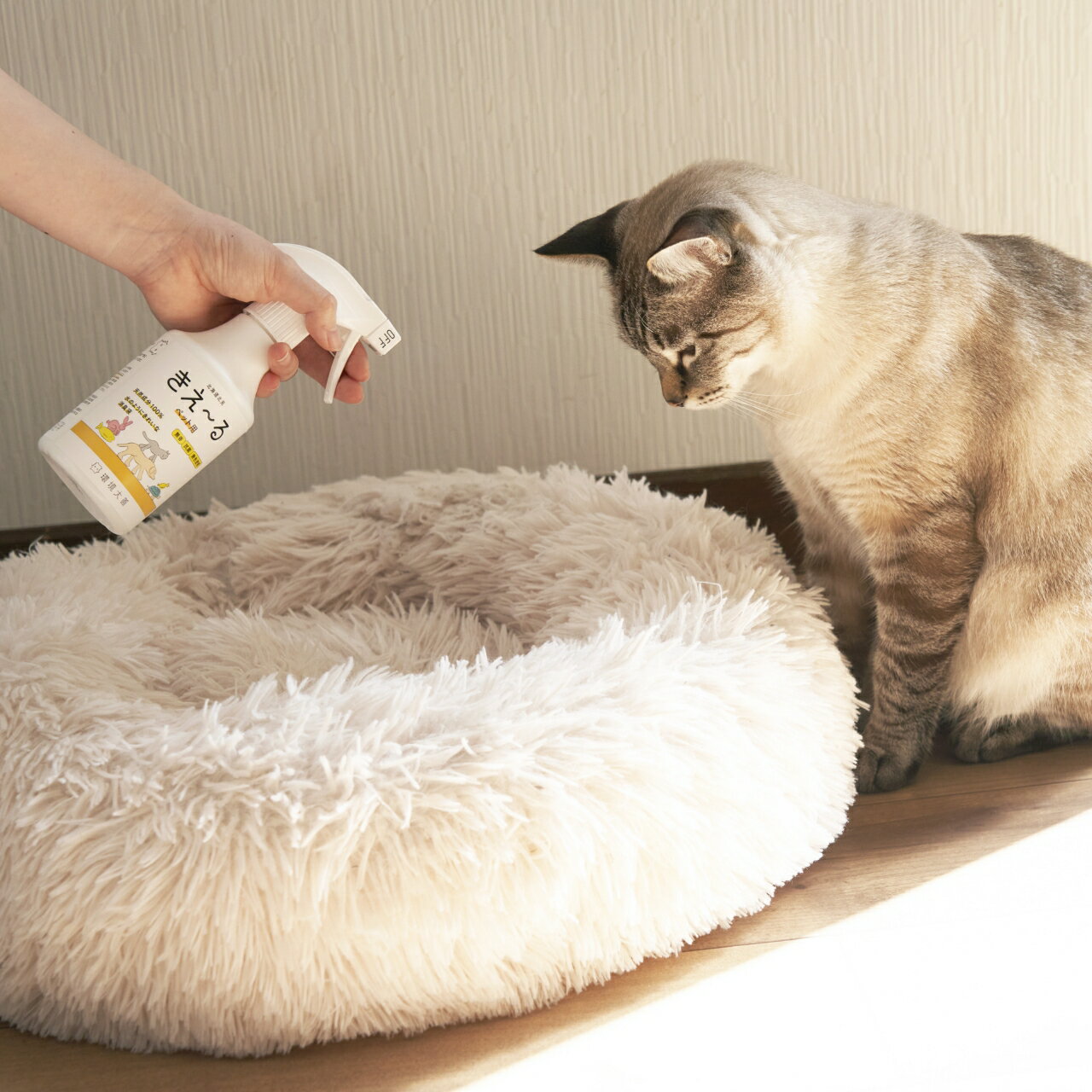 �������� �ڥå��� ���� 18L H���꡼�� �ڤ�����������۴Ķ����� �ý� �ý��� �ý��� �ޡ����� ���Ĥ� ������ ̵�� ŷ�� �������˥å� �ˤ��� ������ ���� ̵���� ̵ź�� �ڥå� �ޥʡ������� �ޥʡ������� �¿� �����˥��� ���� �ý� ʵǢ �դ�Ǣ