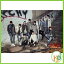 【K-POP・韓流】 アップ10ション5集ミニ・アルバム「バースト」／UP10TION　5TH MINI ALBUM 「BURST」(8804775075255)