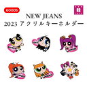 【おまけ付き】2023アクリルキーホルダー★ NEW JEANS ★ ミンジ ハニ ダニエル ヘリン ヘイン ニュージーンズ グッズ★ バージョン選択 / おまけ：生写真 トレカ(70702300927-01)