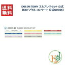 【K-POP GOODS・送料無料・代引不可・生写真】 【ゆうメール発送】SM TOWN ゴムブレスセット(SET-アーティスト・バンド+夜光バンド) ( TV...