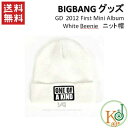 【おまけ付き】BIGBANG/GD 2012 First Mini Album White Beenie（ニット帽）ビクバン/おまけ：生写真(10006631)