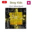 【おまけ別送】Stray Kids アルバム Cle 2: Yellow Wood☆通常版（バージョンランダム）ストレイキッズ スキズ JYP/おまけ：詳細ページ参考(8809440338931)