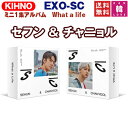 【おまけ付き】【KIHNO】EXO-SC ミニ1集アルバム What a life エクソ セフン チャニョル【バージョン ランダム1種】/おまけ：生写真(8809440339051)