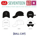 【おまけ付き】SEVENTEEN BALL CAP【キャップ】【2019 WORLD TOUR ’ODE TO YOU’ OFFICIAL GOODS】SVT セブチ 公式 グッズ/おまけ：生写真 トレカ(7070190801-08)