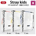 【おまけ別送】 Stray Kids 正規1集アルバム★一般盤【 GO生 】ストレイキッズ スキズ ランダム / おまけ:詳細ページ参照(88094403397...