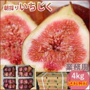 大阪河南産朝採りいちじく農家直売 厳選4kg(500g×8パック)(2kg箱が2箱) 箱入り 大阪府 ...