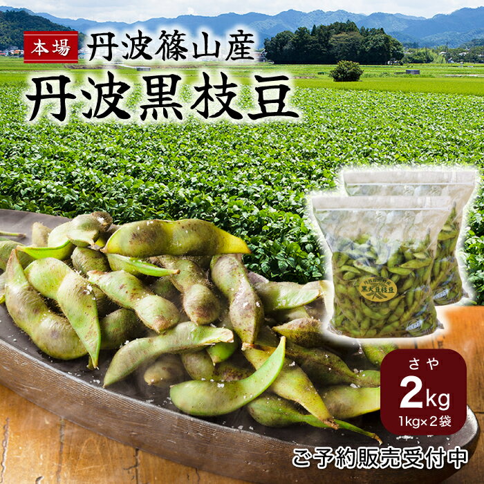 ※予約商品※ 2023年度産 丹波黒枝豆 2kg 枝無しちぎり サヤ豆 丹波篠山産のサムネイル